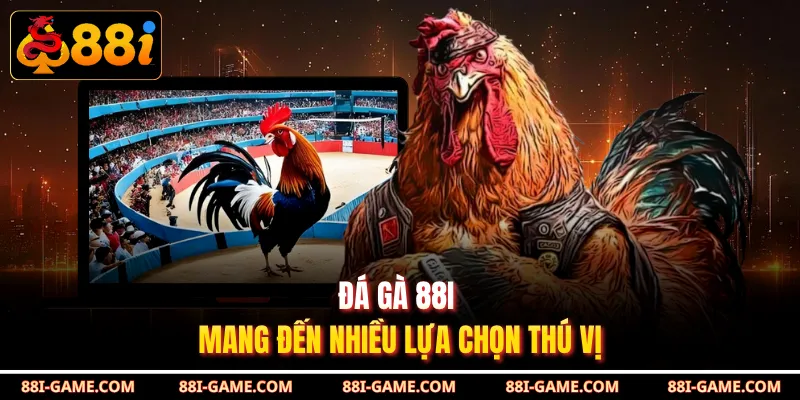 Đá gà 88I mang đến nhiều lựa chọn thú vị