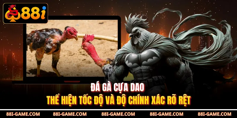 Đá gà cựa dao thể hiện tốc độ và độ chính xác rõ rệt