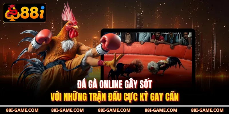 Đá Gà Online Gây Sốt Với Những Trận Đấu Cực Kỳ Gay Cấn