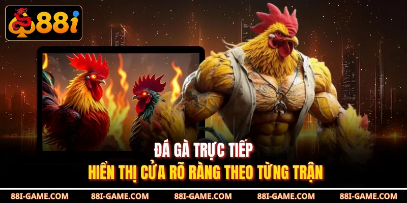 Đá gà trực tiếp hiển thị cửa rõ ràng theo từng trận