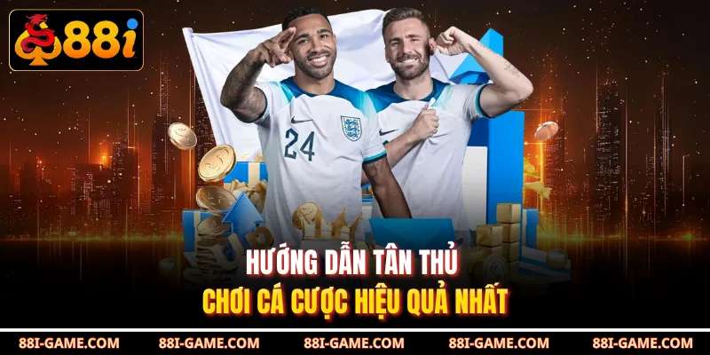Hướng dẫn tân thủ chơi cá cược hiệu quả nhất