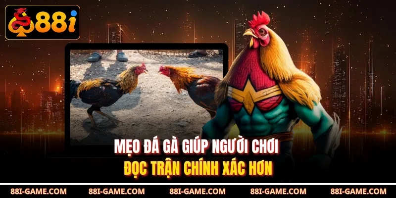 Mẹo đá gà giúp người chơi đọc trận chính xác hơn